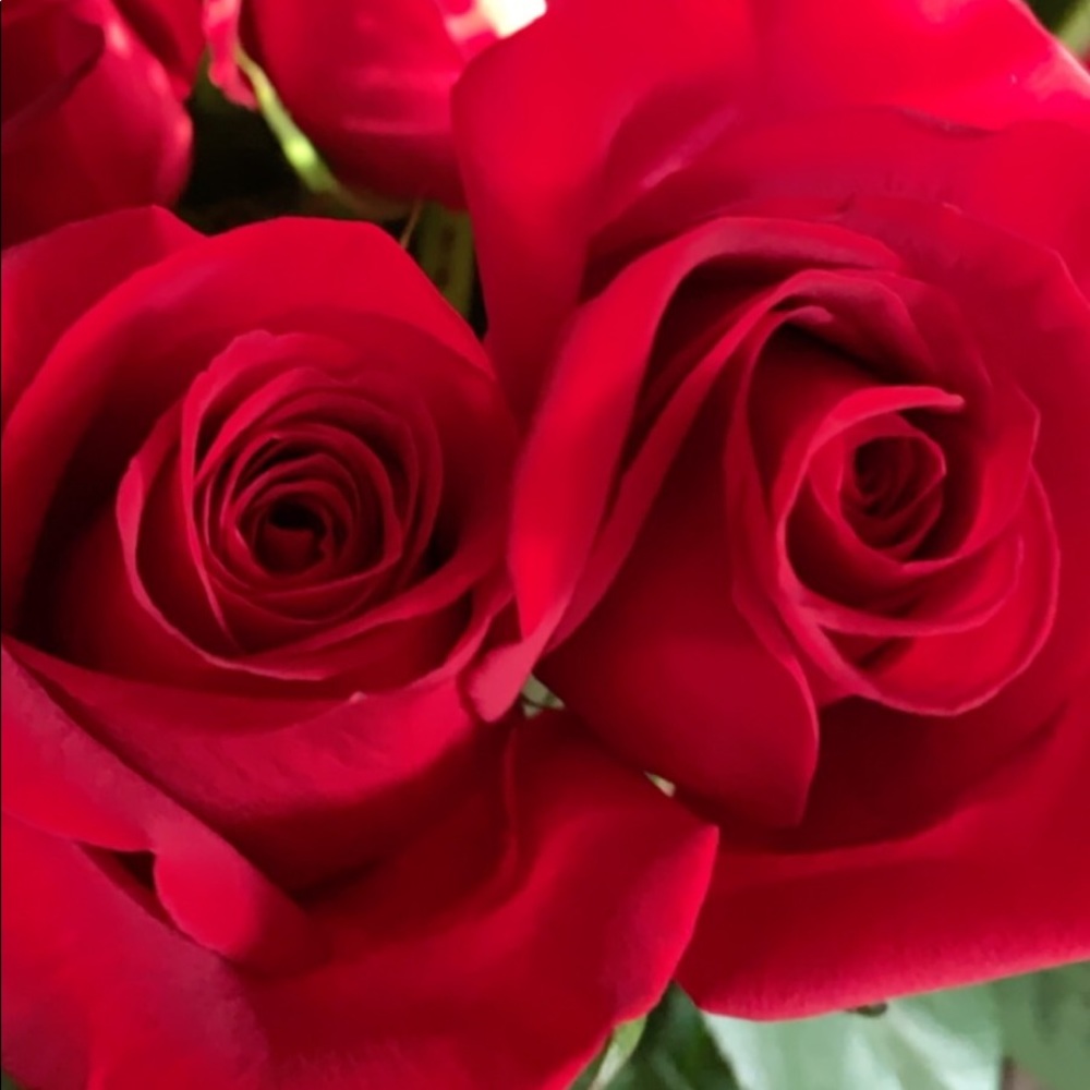 Meet your Posher, Mena